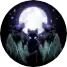 Wolfe Dun
